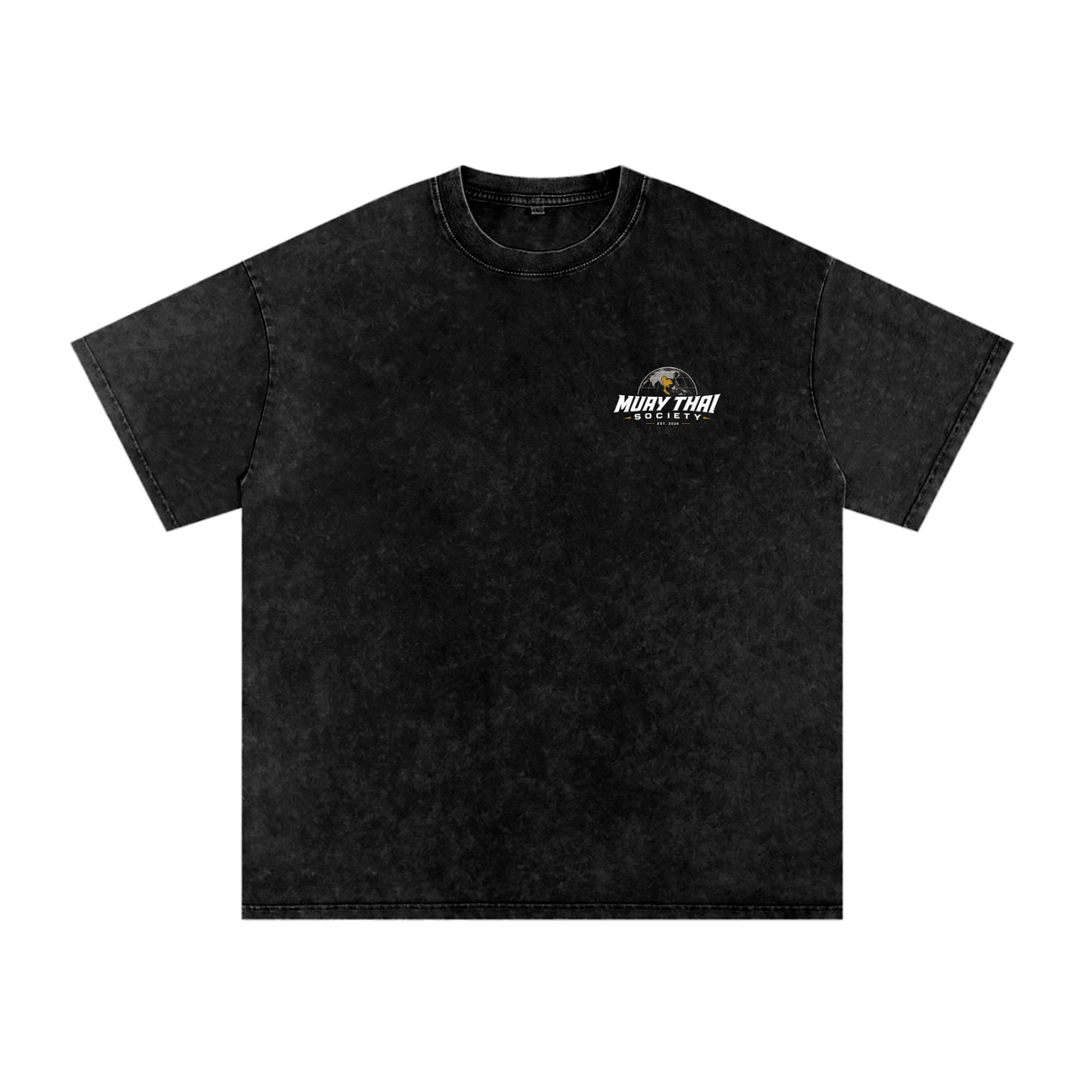 MTS WASHED TEE